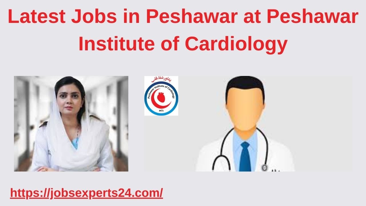 Latest Jobs in Peshawar Pakistan 2024