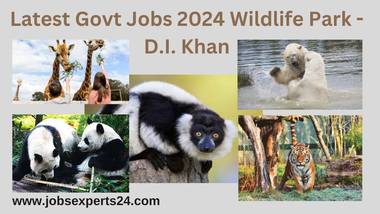 Latest Govt Jobs 2024 Wildlife Park - D.I. Khan